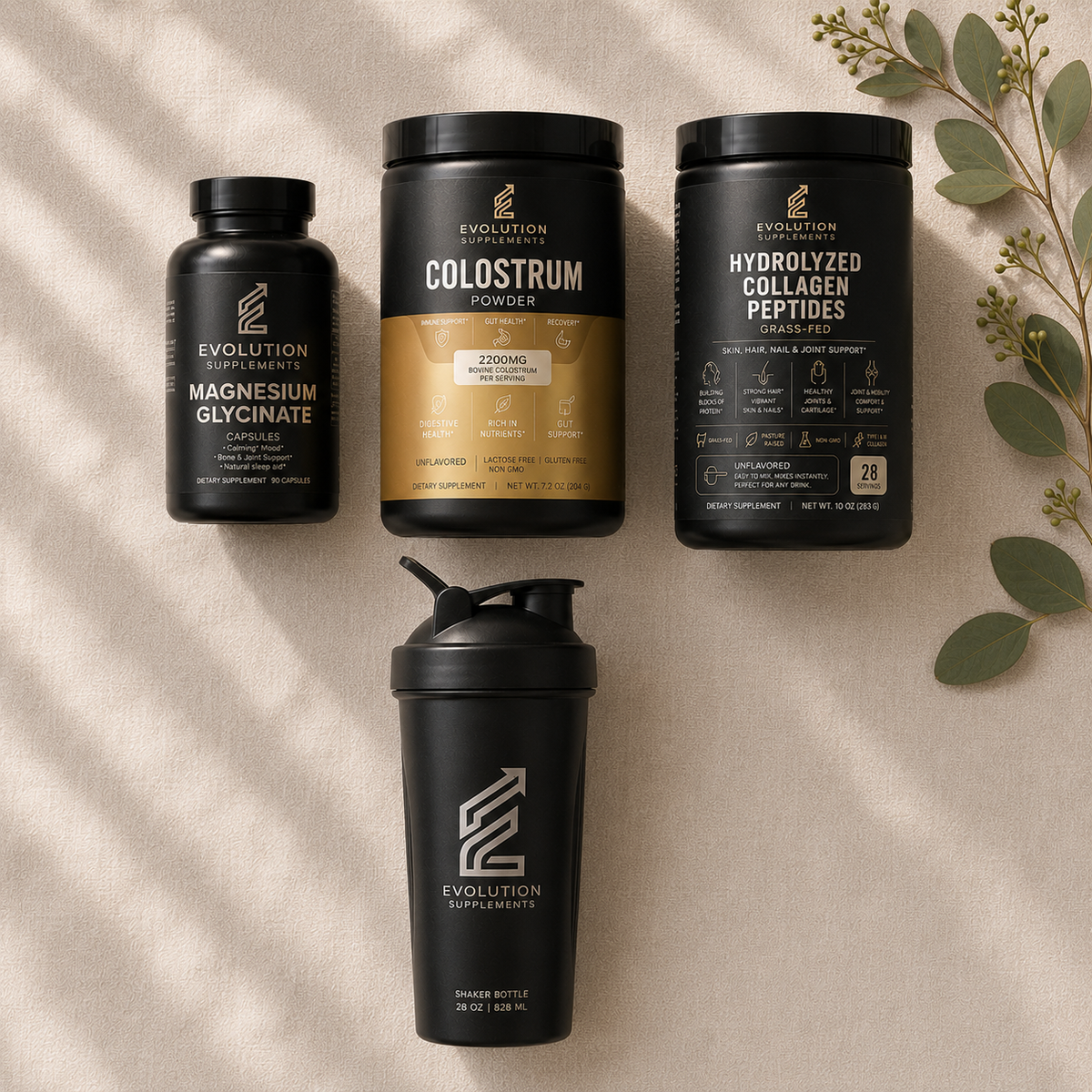 Foundation Plus